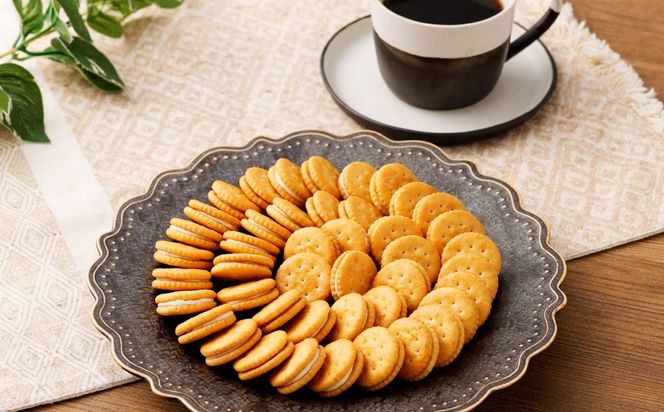 ブルボン 「プチバニラクラッカー」30本（1箱10本入り×3箱） 1094007