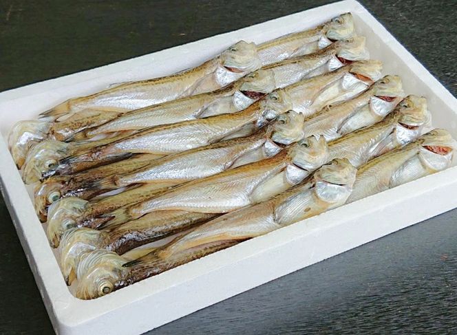【ふるさと納税】美味い、脂の乗った 浜坂産 一夜干し ハタハタ 1.0kg 17～24枚 はたはた 干物 干し魚 干しハタ 干し物 魚介 1kg おつまみ 惣菜 おかず 国産 冷凍 お取り寄せ 兵庫県 新温泉町 送料無料