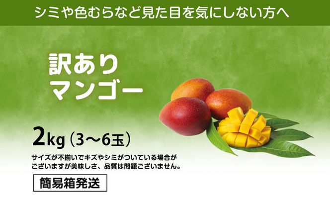 訳ありマンゴー２kg【熱帯資源植物研究所】