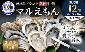 【 3ヵ月 定期便 】 厚岸産 ブランド 殻付カキ マルえもん 生食用 サイズ食べ比べ 12個 (LL・L各6個)[ 魚貝類 生牡蠣 かき 牡蠣 カキ 生ガキ 食べ比べ ]