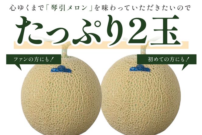 【先行予約／数量限定500】京のブランド産品 京たんごメロン 琴引メロン LAサイズ 2玉（2026年6月下旬～発送）　JK00024