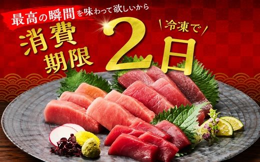 【2-134】国産本まぐろ中トロ赤身冷凍短冊セット　600ｇ以上
