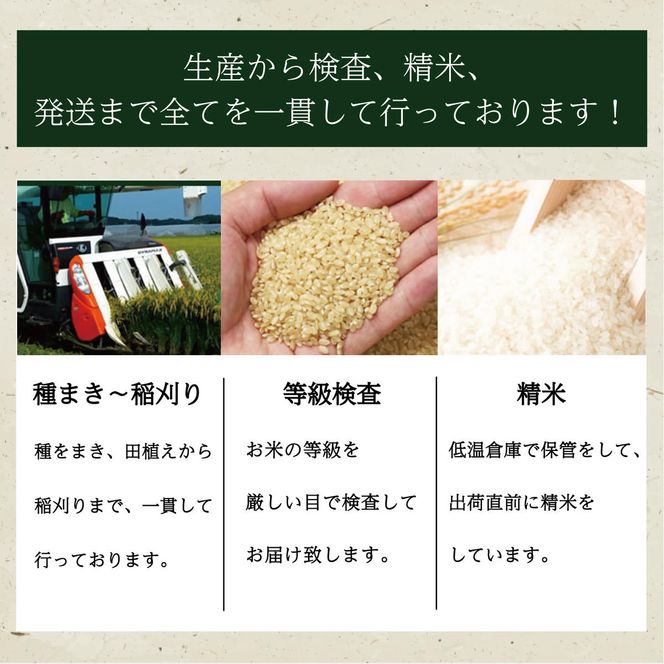 L-9 令和５年産【12ヵ月定期便】田宮さんちのコシヒカリ 5kg×12回