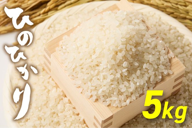 令和7年産  「ひのひかり」5kg【ほたるの里】_HA1786