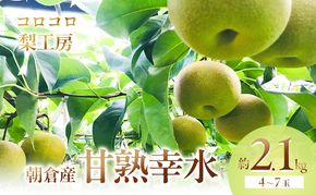 梨 幸水 まるで食べる梨ジュース！！甘熟 幸水梨 約2.1kg 4～7玉入 配送不可 離島 ナシ 果物 フルーツ 先行予約 