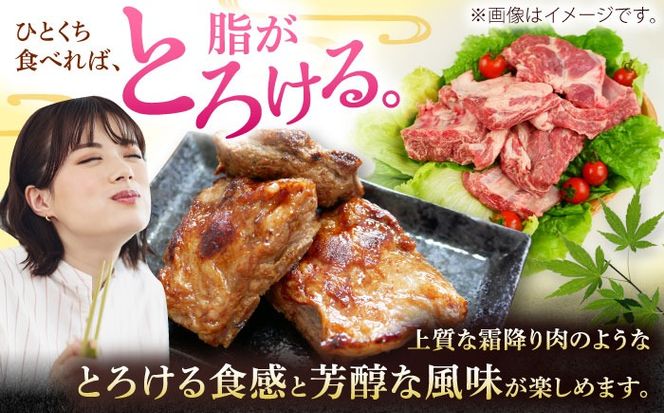 沖縄県産豚肉 豚足・ソーキ (スペアリブ) 3kg 豚肉 豚足 ソーキ軟骨 ソーキ肉 お取り寄せ 真空パック 小分け 冷凍 国産 沖縄市 / 宮城ふぁーむ[BCAJ014]