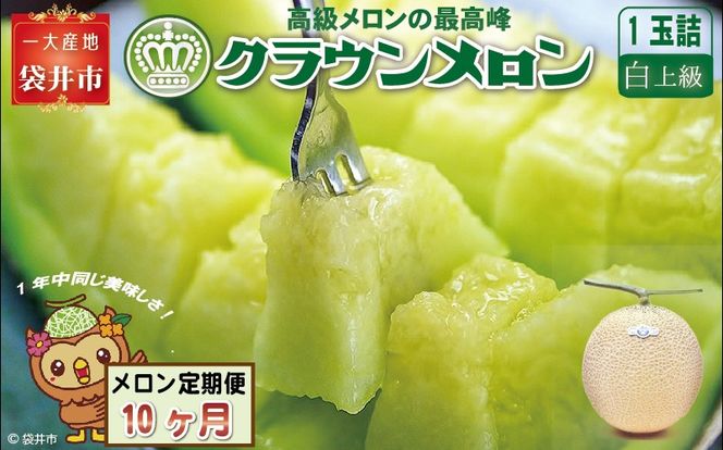 【10ヶ月定期便】クラウンメロン（白上級）1玉入 メロン デザート グルメ 果物 フルーツ 季節の果物 スイーツ 袋井市 静岡県