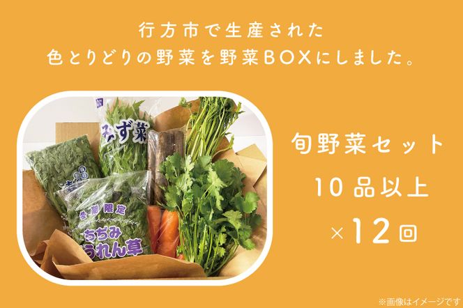 CU-130　【12ヶ月定期便】野菜王国なめがたの旬野菜の定期便