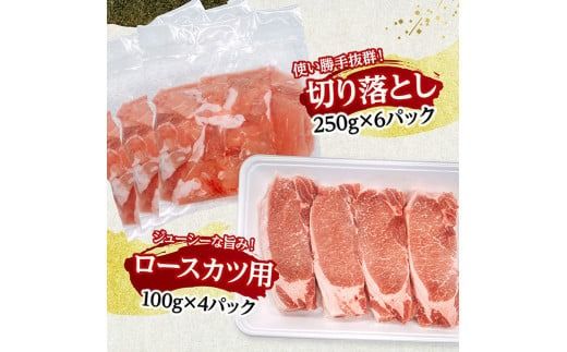 宮崎県産豚肉5種　3.2kg 【 豚肉 ぶた肉 肉 ロース バラ 切り落とし ミンチ 焼肉用 しゃぶしゃぶ 豚肉セット 】[D11622]