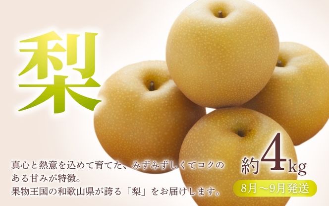【全3回定期便】和歌山の旬のフルーツ定期便！人気の桃・ピオーネ・梨をお届け♪ 【tkb306】