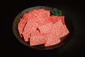 神戸牛焼肉（もも・かた　500g）  [肉 牛肉 神戸牛 最高級肉 神戸ビーフ 神戸肉 但馬牛 もも肉 肩ロース 焼肉 すき焼き しゃぶしゃぶ お取り寄せ 加東市 兵庫県]