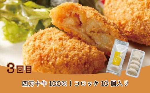 【 5回定期便 】 簡単調理 でごちそう！ 四万十のおかず定期便 5回 毎月届く カツオ うなぎ コロッケ 餃子 ギョーザ チキン おかず 惣菜 ごちそう 夕食 調理済み 定期便 高知 四万十市 四万十 しまんと 25-20