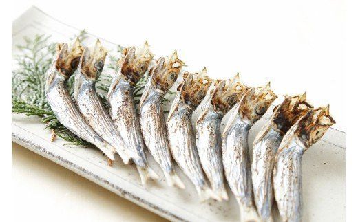 職人厳選 ウルメ丸干し小分け（4尾×12袋）鰯 いわし おつまみ 