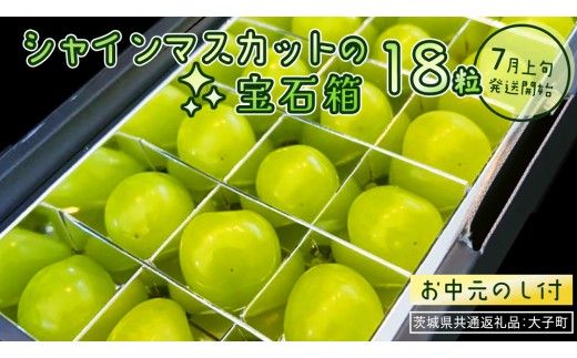 【 お中元 】『 シャインマスカット の宝石箱 (18粒) 』【2026年7月上旬発送開始】(茨城県共通返礼品：大子町) ぶどう 葡萄 マスカット フルーツ 果物 贈答用 ギフト 贈り物