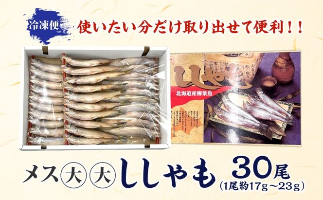 北海道産ししゃもメス大大30尾 北海道 稀少 魚シシャモ メス おつまみ 魚貝類 干物 本物 人気 希少 塩 味付け 脂のり 旨み 美味しい 大きい 