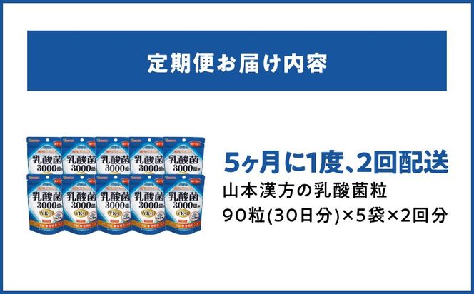 ＜5ヶ月に1度、2回送付＞乳酸菌粒［027Y25-T］　山本漢方　定期便