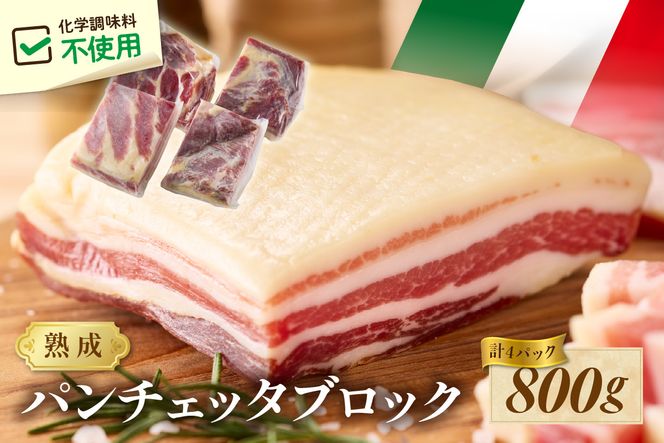 パンチェッタブロック（豚バラ肉の塩漬け）　約200g×4袋 ふるさと納税 豚肉 塩漬け ふるさと納税 ベーコン ふるさと納税 パンチェッタ 豚バラ 塩漬け スペイン料理　NI00022