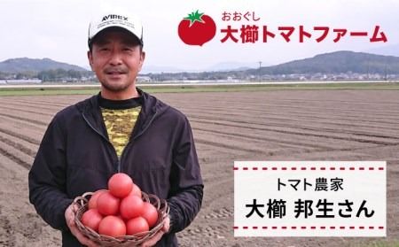 【先行予約受付中：2023年10月中旬以降順次発送】【甘くて濃厚】大玉 トマト 4kg 糸島産 《糸島》 【大櫛トマトファーム】 [AQH002]