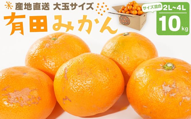 ya̎RLc쒬zYn Lc݂ ʃTCY 2L`4L TCY 10kg yfarms y2025N12ȍ~z AL07