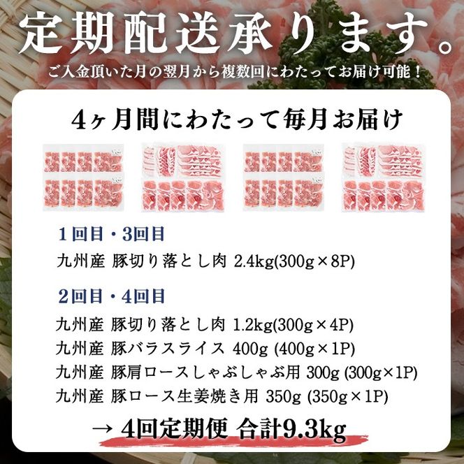 【定期便 全4回】九州産豚肉 生活応援定期便(計9.3kg) t004-012