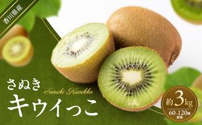 さぬきキウイっこ 約3kg キウイ キウイフルーツ フルーツ 果物 くだもの 果実 旬の果物 旬のフルーツ 香川 香川県 東かがわ市