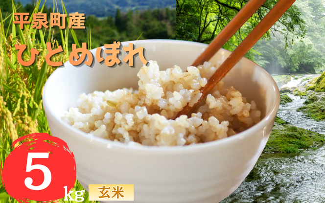 【令和8年産 先行予約】【11月以降順次発送】平泉町産 ひとめぼれ 玄米5kg / こめ コメ 米 お米 おこめ 白米 ご飯 ごはん ライス 山水【aoki015】