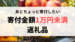 【寄付金額10,000円未満】あともう少し寄付したい！と思ったときにおすすめのふるさと納税人気返礼品