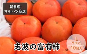 柿 志波の富有柿 Lサイズ×10個入 マルハツ商店 果物類 かき 