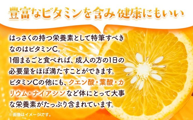 樹上完熟 ご家庭用 訳あり はっさく 八朔 みかん 5kg ＋250g (傷み補償分) 池田鹿蔵農園 @日高町《4月上旬-5月末頃出荷》和歌山県 日高町 送料無料 はっさくみかん 家庭用 光センサー選別 訳あり八朔 訳ありはっさく【配送不可地域あり】---wsh_idn323_4j5m_25_12000_5kg---