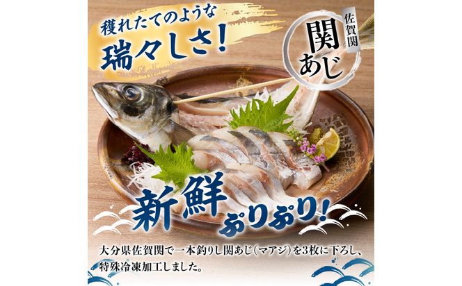 【E04018】 関冷刺　関あじ（大）
