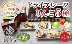ドライフルーツ りんご 5種(シナノゴールド シナノスイート 紅玉 あいかの香り サンふじ)／乾燥りんご 林檎 リンゴ 無添加 砂糖不使用 国産 フルーツ ギフト お取り寄せ はぴふる 新潟県 十日町市 
