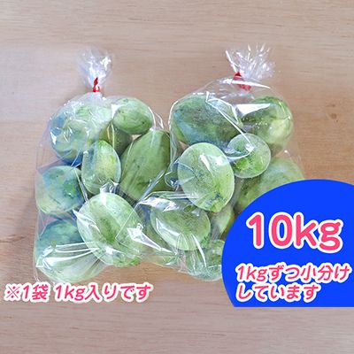 北海道 富良野市 摘果メロン 10kg ≪1kg×10袋≫ お漬物用 2026年 春夏発送 (中山農園)