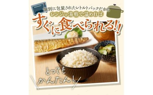 【ごはんで腸活】もち麦ごはんレトルト48パック