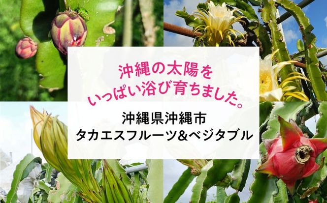 【2026年発送】 完熟ドラゴンフルーツ 2kg (5玉) 果物 フルーツ スーパーフード 産地直送 沖縄市 / タカエスフルーツ＆ベジタブル[BCBH004]