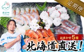 【定期便】 北海道産 旬のお刺身＜5種＞盛り合わせセット 約500g 年4回お届けコース 盛り合わせ 刺身 定期便 お刺身 生食 魚