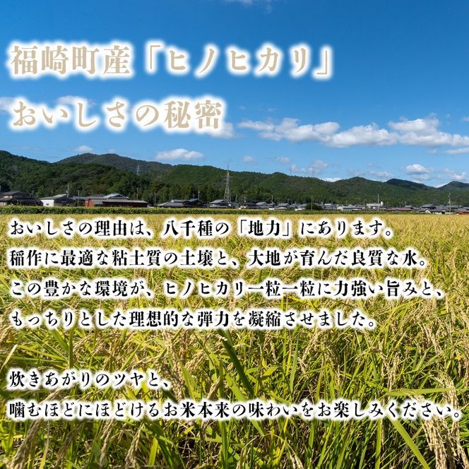 【3か月定期便】【新米予約】令和8年産 ヒノヒカリ 精米 八千種米 お米 毎月 5kg 10kg 白米 米 ごはん 兵庫 兵庫県産 世界かんがい施設遺産登録『西光寺野疏水路』 お米