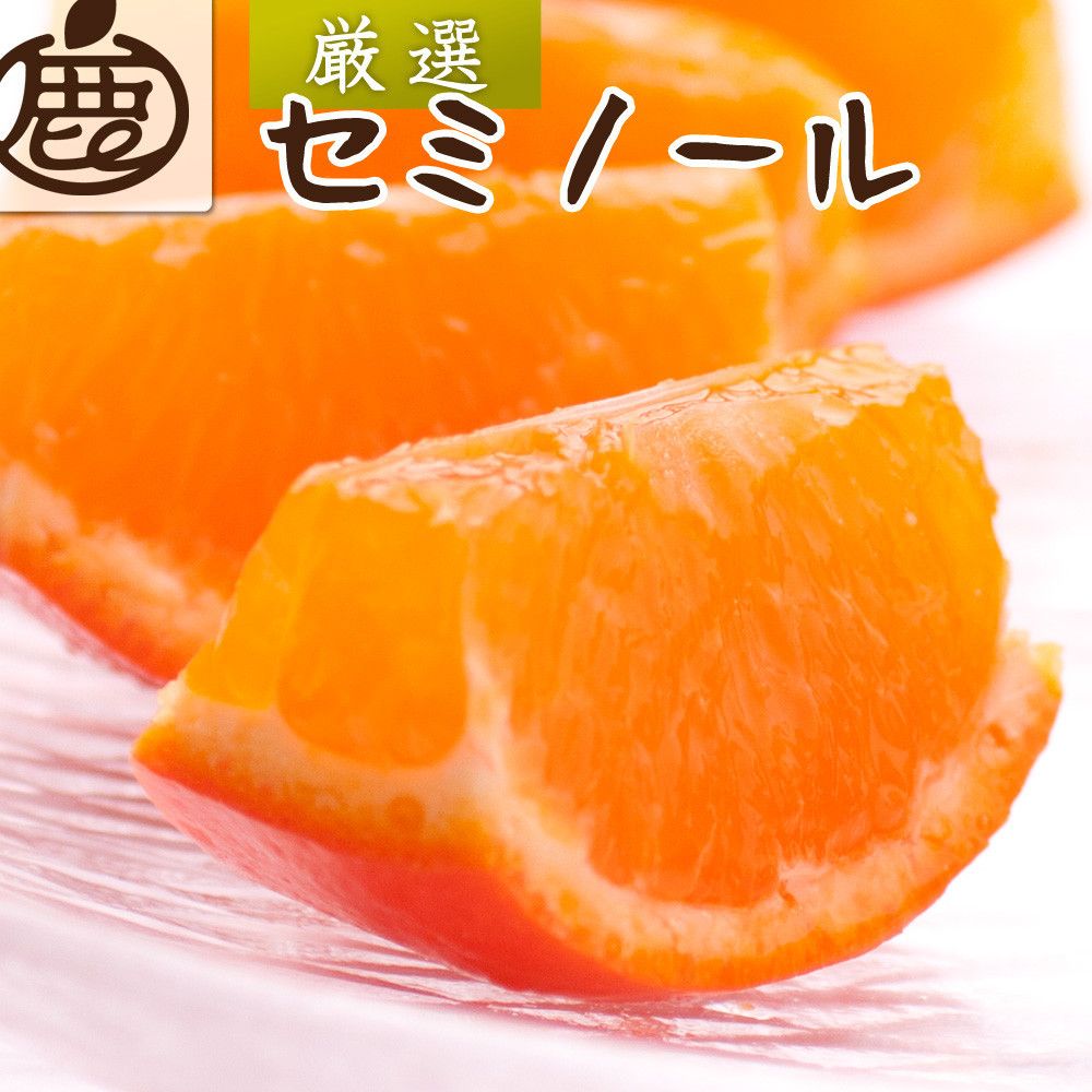 厳選 セミノールオレンジ 1kg+250g(傷み補償分)[春みかん][有田産][光センサー食べ頃出荷] [IKE275] 303446_BB90192