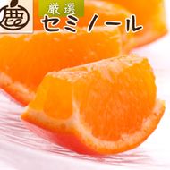厳選 セミノールオレンジ 1kg+250g（傷み補償分）【春みかん】【有田産】【光センサー食べ頃出荷】 ［IKE275］ 303446_BB90192