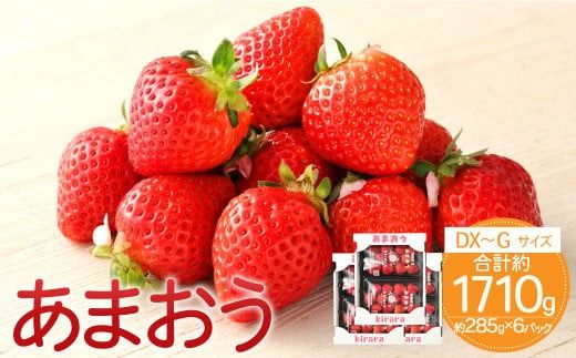 ytz܂ 1710g 285g×6pbN t@[ ①yӂGR_YF؁zy2026N2{-3{\z