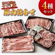 【2026年2月より順次発送】【田中農場のすずし豚】豚肉詰合せ｜肉 お肉 豚肉 豚 ぶた ロールステーキ ステーキ トンカツ 肩ロース ロース バラ しゃぶしゃぶ 詰め合わせ セット すずし豚 ブランド 銘柄 茨城県 行方市(M-7)