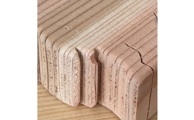 Animalつみき 恐竜つみき アウトレット品4種セット 工芸品 インテリア 玩具 おもちゃ 