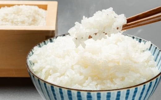 【令和7年産米】牛とつくったお米  新潟県岩船産 コシヒカリ 精米 5kg 1041001　