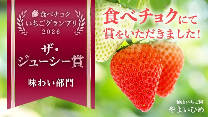 「食べチョクいちごグランプリ2026」味わい部門「ザ・ジューシー賞」受賞 やよいひめ ( 4パック ) 特大 デラックス サイズ 【 2026年1月から発送開始 】 ( 茨城県共通返礼品 : 常陸太田市 ) 約 300g × 4 パック やよいひめ ヤヨイヒメ 弥生姫 いちご 数量限定 果物 くだもの フルーツ 苺 イチゴ 期間限定 [ES013us]