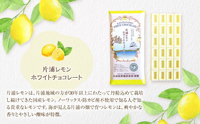 小田原みかんホワイトチョコレート、片浦レモンホワイトチョコレート、湘南ゴールドビターチョコレートの三種類のセット 142069_CW103