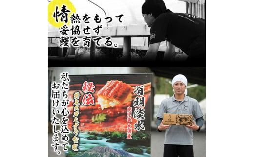 【数量限定】鹿児島県産！秘伝の特上スタミナうなぎ超特大蒲焼き1尾＜200g以上！＞肝吸いセット！ a1-150