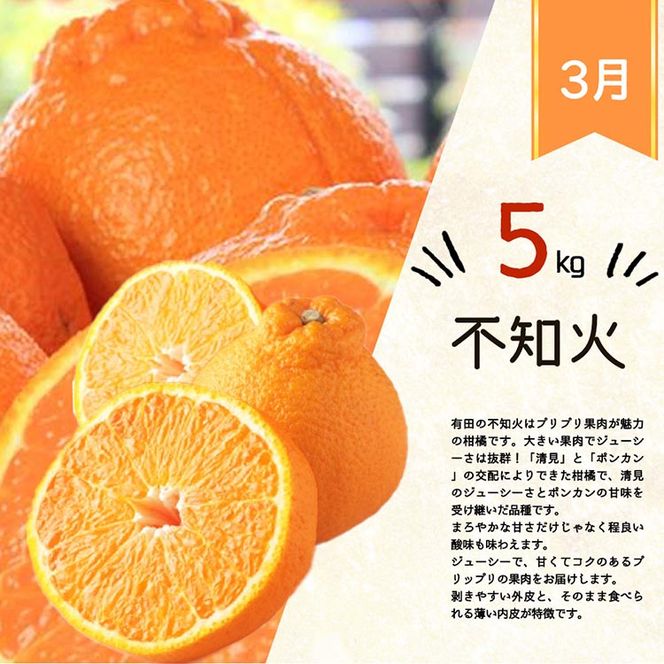 〈定期便〉【12・2・3月 全3回】紀州和歌山産旬の柑橘セット（田村みかん・はるみ・不知火） ※離島への配送不可
