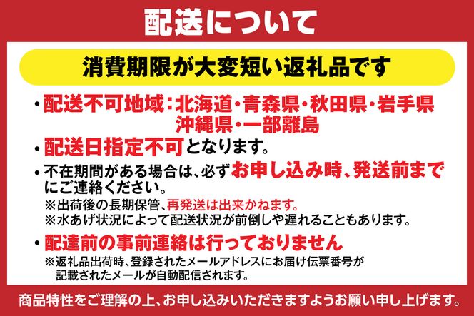 【兵庫県香住産 釜茹で香住ガニ（紅ズワイガニ）2～3匹 冷蔵】【令和8年9月下旬以降発送予定】 かに カニ 蟹 香住ガニ 紅ズワイガニ ベニズワイ 新鮮 魚介 姿 ボイル 香住 兵庫県 香美町 宿院商店 33-21