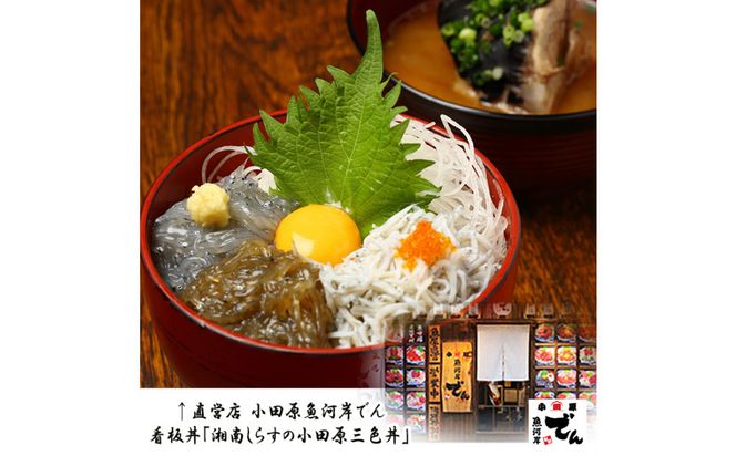 湘南しらす　3色セット 142069_DV013