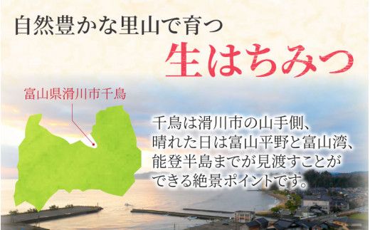生はちみつ 180g×2本 【ビン】
