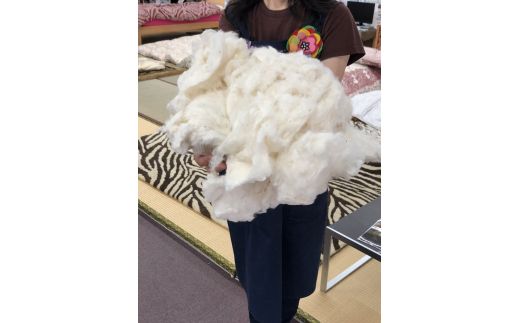 コットンの王様　エジプト綿入り肌掛ふとん（ローズピンク）【CW26W1】